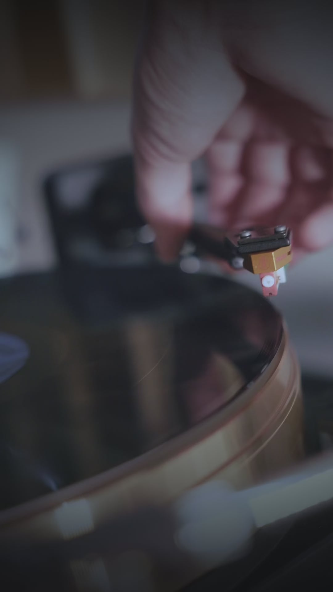 Lyra Delos High End MC Cartridge