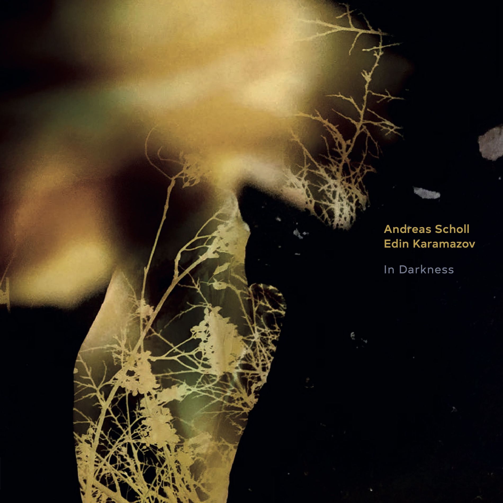 Andreas Scholl &amp; Edin Karamazov - In Darkness Lowswing Records Vinyl Audiophile