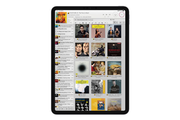 Luxman NT-07 Streamer