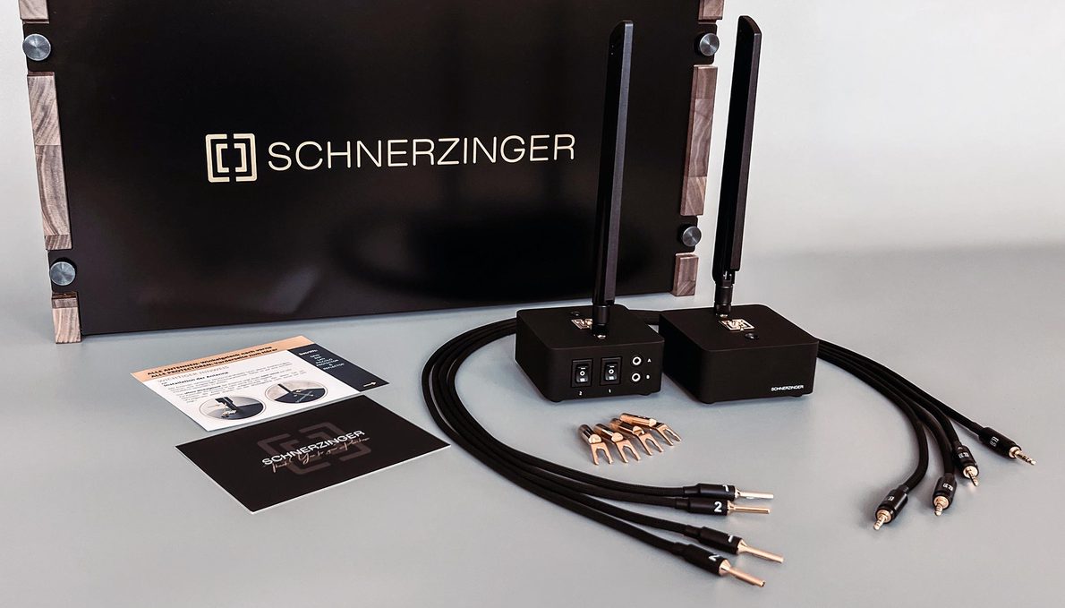 Schnerzinger Speaker Amp Protector Plus
